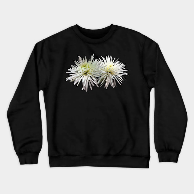 Two White Spider Mums Crewneck Sweatshirt by SusanSavad